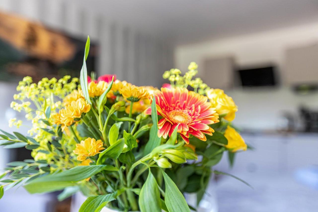 Ferienwohnung Mit Badestrand Gluecksburg Luaran gambar